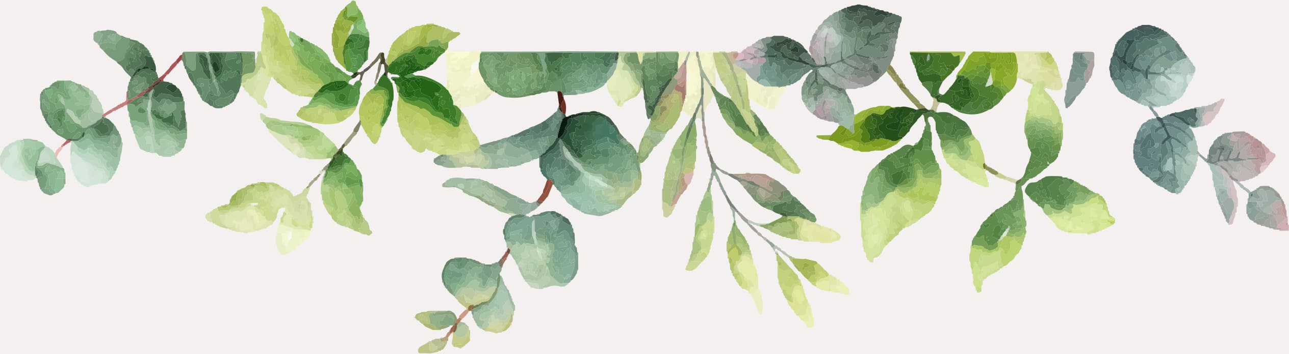 Plant Bottom