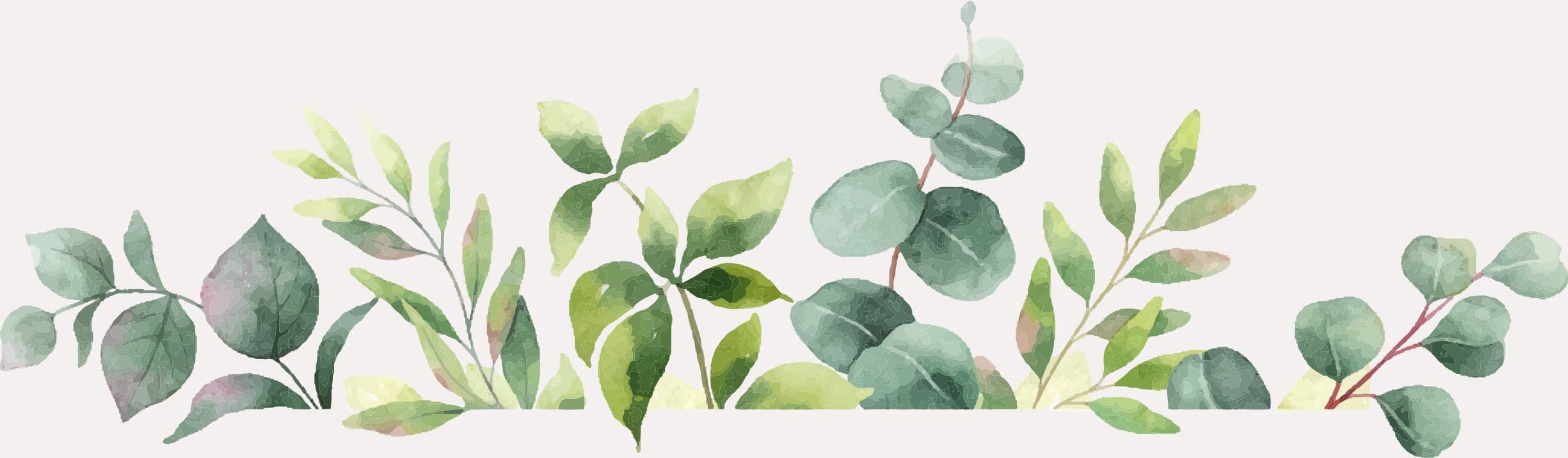 Plant Top