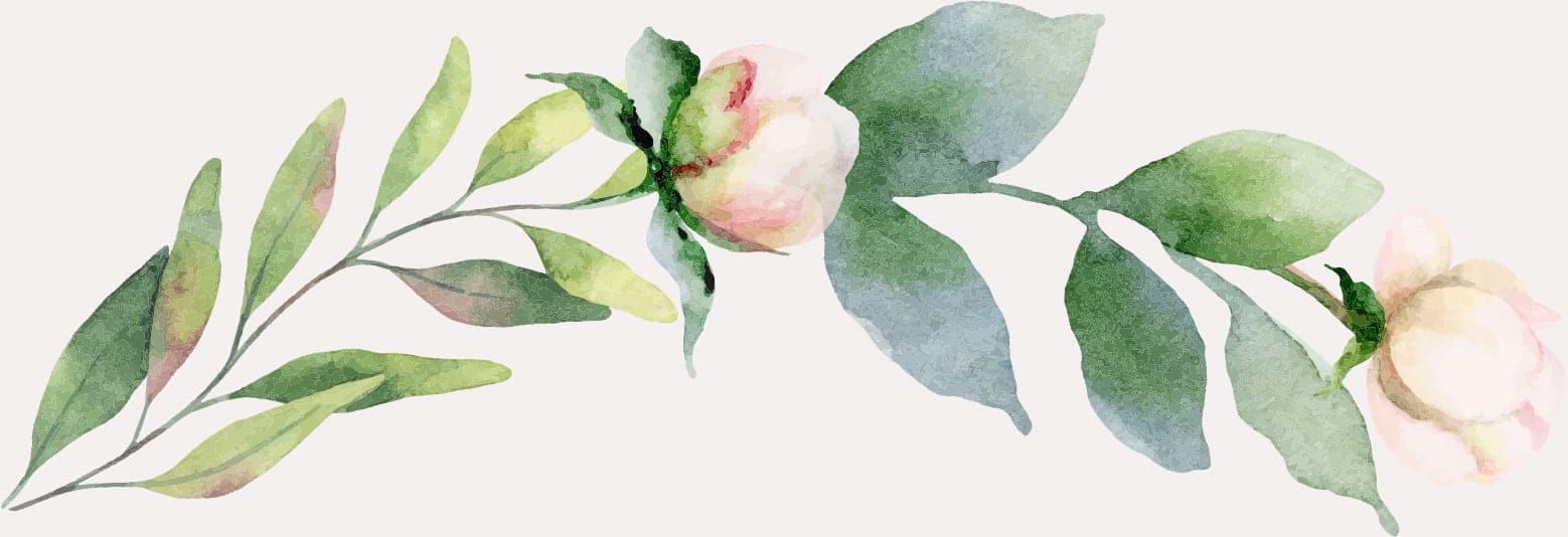 Plant 2